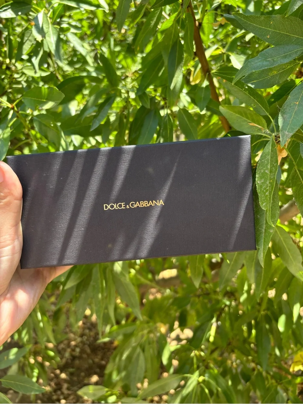 DOLCE GABBANA Burgundy Cat-Eye Sunglasses